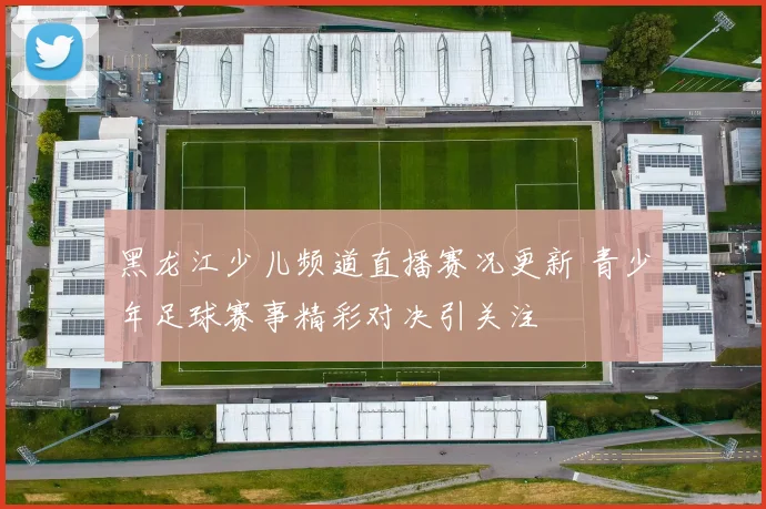 黑龙江少儿频道直播赛况更新 青少年足球赛事精彩对决引关注