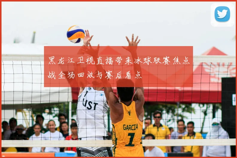 黑龙江卫视直播带来冰球联赛焦点战全场回放与赛后看点