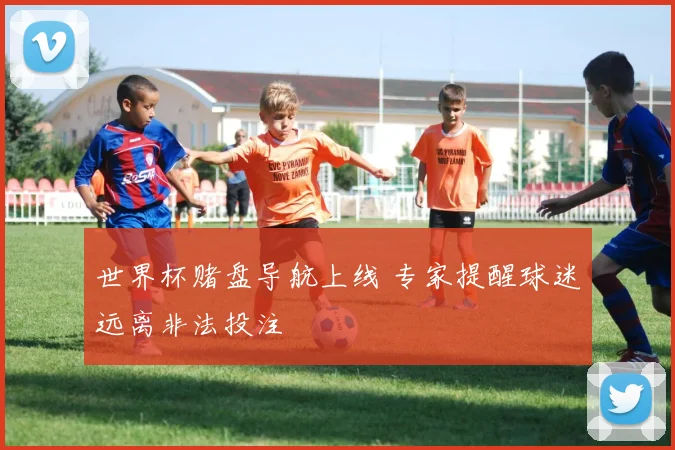 世界杯赌盘导航上线 专家提醒球迷远离非法投注