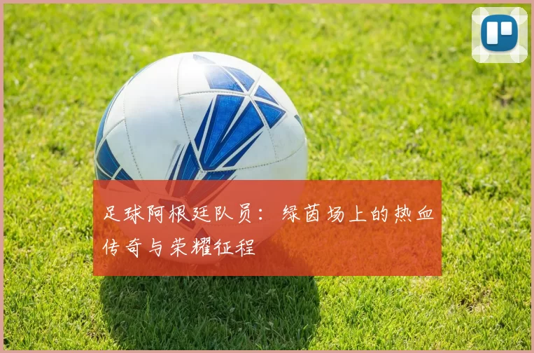 足球阿根廷队员：绿茵场上的热血传奇与荣耀征程