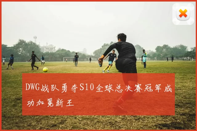 DWG战队勇夺S10全球总决赛冠军成功加冕新王