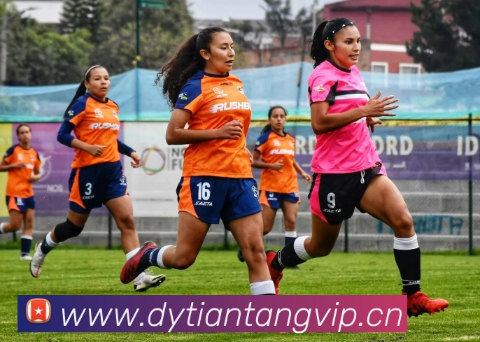 kaiyun「中国大陆」官方网站 - 智慧开云服务平台|登录入口服务体系