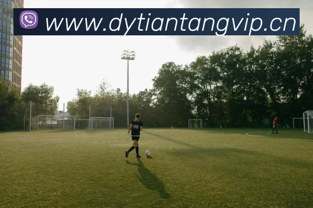 多媒体互动体验