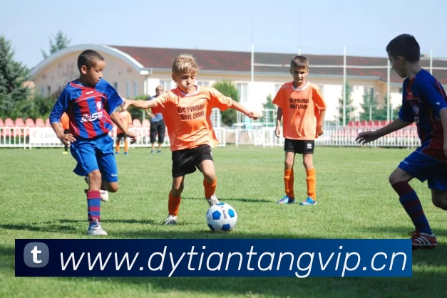 多媒体互动体验