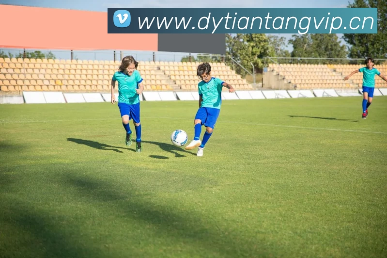 开云官方版网站登录入口 - 开云online(中国)APP 高清赛事图