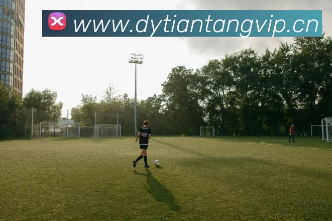 数据防护可视化